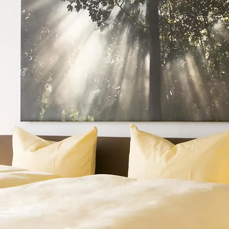 Hotel Fritz & Restaurant Kg 3*